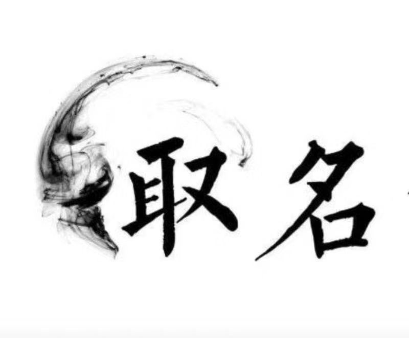  爱辉宝宝取名 大师一对一人工起名